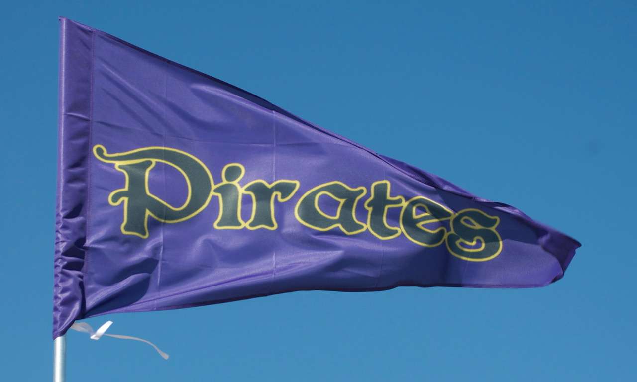 Stadium Flags