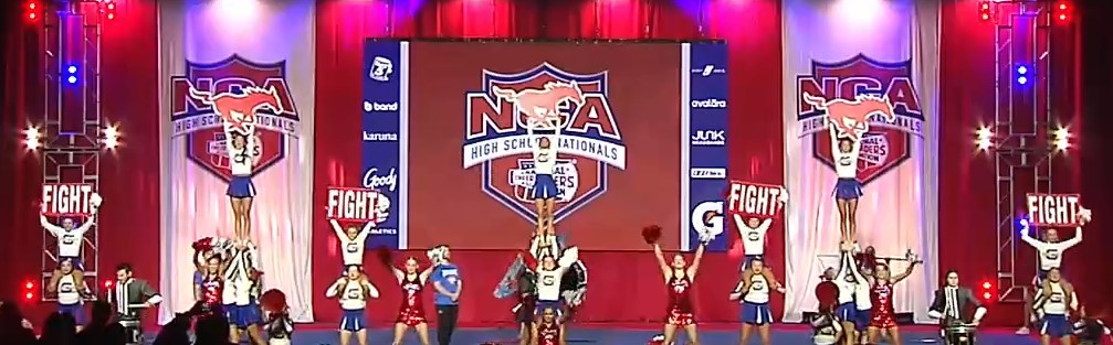 Custom Printed & Cut Cheer Signs