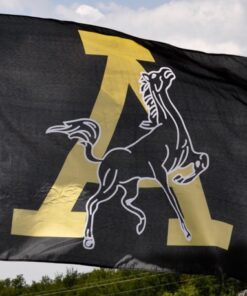 Team Banners and Flags, spirit flag, spirit flags, team flag, team flags, school flag, school flags, high school flag, high school flags, custom flag, custom flags