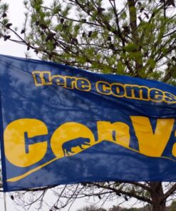 Team Banners and Flags, Field Runner, field runners, Cheer Flag, cheer flags, Cheerleader Flag, cheerleader flags, battle flag, battle flags, spirit flag, spirit flags, team flag, team flags, running flag, running flags, custom flag, custom flags
