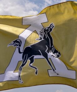 spirit flag, spirit flags, team flag, team flags, school flag, school flags, high school flag, high school flags, custom flag, custom flags