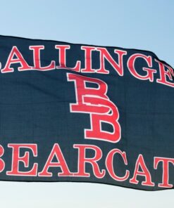 spirit flag, spirit flags, team flag, team flags, school flag, school flags, high school flag, high school flags, custom flag, custom flags