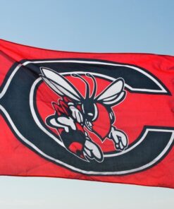 spirit flag, spirit flags, team flag, team flags, school flag, school flags, high school flag, high school flags, custom flag, custom flags