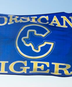spirit flag, spirit flags, team flag, team flags, school flag, school flags, high school flag, high school flags, custom flag, custom flags