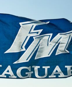 spirit flag, spirit flags, team flag, team flags, school flag, school flags, high school flag, high school flags, custom flag, custom flags