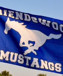 spirit flag, spirit flags, team flag, team flags, school flag, school flags, high school flag, high school flags, custom flag, custom flags