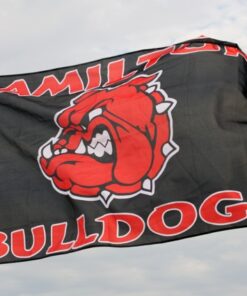 spirit flag, spirit flags, team flag, team flags, school flag, school flags, high school flag, high school flags, custom flag, custom flags