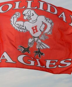 spirit flag, spirit flags, team flag, team flags, school flag, school flags, high school flag, high school flags, custom flag, custom flags