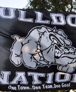 spirit flag, spirit flags, team flag, team flags, school flag, school flags, high school flag, high school flags, custom flag, custom flags