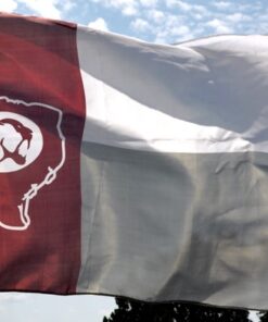 spirit flag, spirit flags, team flag, team flags, school flag, school flags, high school flag, high school flags, custom flag, custom flags
