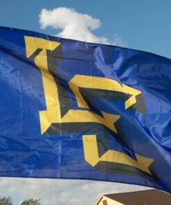 spirit flag, spirit flags, team flag, team flags, school flag, school flags, high school flag, high school flags, custom flag, custom flags