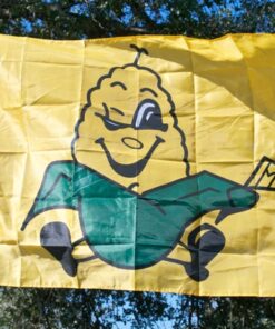 spirit flag, spirit flags, team flag, team flags, school flag, school flags, high school flag, high school flags, custom flag, custom flags
