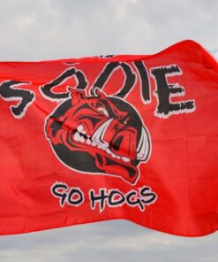spirit flag, spirit flags, team flag, team flags, school flag, school flags, high school flag, high school flags, custom flag, custom flags