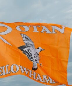spirit flag, spirit flags, team flag, team flags, school flag, school flags, high school flag, high school flags, custom flag, custom flags