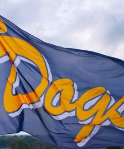 Team Banners and Flags, Field Runner, field runners, Cheer Flag, cheer flags, Cheerleader Flag, cheerleader flags, battle flag, battle flags, spirit flag, spirit flags, team flag, team flags, running flag, running flags, custom flag, custom flags