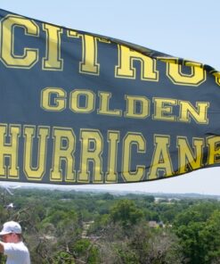 Team Banners and Flags, Field Runner, field runners, Cheer Flag, cheer flags, Cheerleader Flag, cheerleader flags, battle flag, battle flags, spirit flag, spirit flags, team flag, team flags, running flag, running flags, custom flag, custom flags