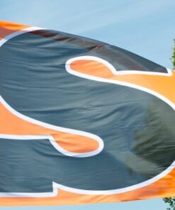 Team Banners and Flags, Field Runner, field runners, Cheer Flag, cheer flags, Cheerleader Flag, cheerleader flags, battle flag, battle flags, spirit flag, spirit flags, team flag, team flags, running flag, running flags, custom flag, custom flags