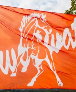 Team Banners and Flags, Field Runner, field runners, Cheer Flag, cheer flags, Cheerleader Flag, cheerleader flags, battle flag, battle flags, spirit flag, spirit flags, team flag, team flags, running flag, running flags, custom flag, custom flags