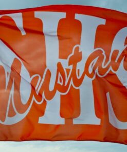 Team Banners and Flags, Field Runner, field runners, Cheer Flag, cheer flags, Cheerleader Flag, cheerleader flags, battle flag, battle flags, spirit flag, spirit flags, team flag, team flags, running flag, running flags, custom flag, custom flags