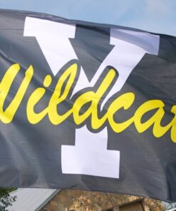 Team Banners and Flags, Field Runner, field runners, Cheer Flag, cheer flags, Cheerleader Flag, cheerleader flags, battle flag, battle flags, spirit flag, spirit flags, team flag, team flags, running flag, running flags, custom flag, custom flags