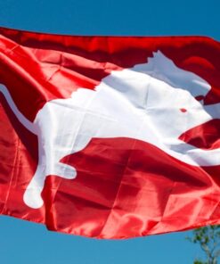 spirit flag, spirit flags, team flag, team flags, school flag, school flags, high school flag, high school flags, custom flag, custom flags