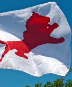 spirit flag, spirit flags, team flag, team flags, school flag, school flags, high school flag, high school flags, custom flag, custom flags