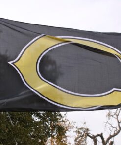 spirit flag, spirit flags, team flag, team flags, school flag, school flags, high school flag, high school flags, custom flag, custom flags