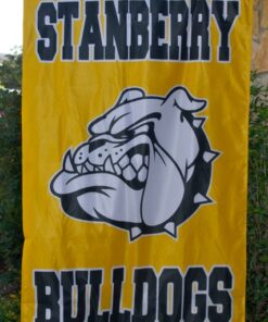 3'x5' Championship Banner Team Banners and Flags