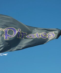 3'x5' Pennant Shaped Stadium Flags Team Banners and Flags