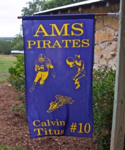 3'x5' Stadium Flag Team Banners and Flags