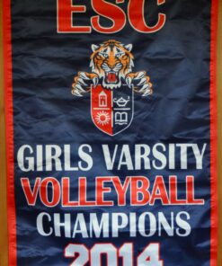 3'x5' Championship Banner