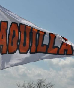 spirit flag, spirit flags, team flag, team flags, school flag, school flags, high school flag, high school flags, custom flag, custom flags