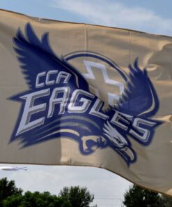 spirit flag, spirit flags, team flag, team flags, school flag, school flags, high school flag, high school flags, custom flag, custom flags