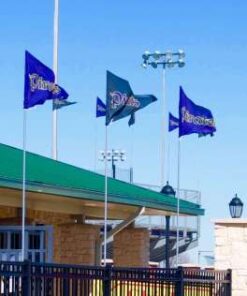 3'x5' Pennant Shaped Stadium Flags