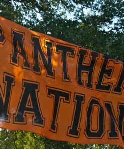 Team Banners and Flags, spirit flag, spirit flags, team flag, team flags, school flag, school flags, high school flag, high school flags, custom flag, custom flags