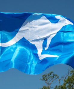 Team Banners and Flags, spirit flag, spirit flags, team flag, team flags, school flag, school flags, high school flag, high school flags, custom flag, custom flags