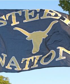spirit flag, spirit flags, team flag, team flags, school flag, school flags, high school flag, high school flags, custom flag, custom flags