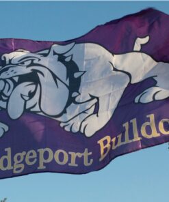 spirit flag, spirit flags, team flag, team flags, school flag, school flags, high school flag, high school flags, custom flag, custom flags