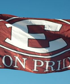 Team Banners and Flags, spirit flag, spirit flags, team flag, team flags, school flag, school flags, high school flag, high school flags, custom flag, custom flags
