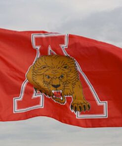 spirit flag, spirit flags, team flag, team flags, school flag, school flags, high school flag, high school flags, custom flag, custom flags