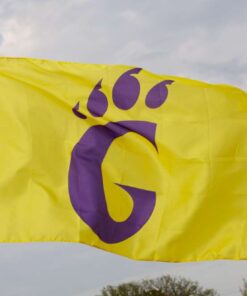spirit flag, spirit flags, team flag, team flags, school flag, school flags, high school flag, high school flags, custom flag, custom flags