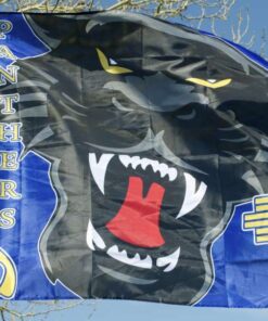 spirit flag, spirit flags, team flag, team flags, school flag, school flags, high school flag, high school flags, custom flag, custom flags