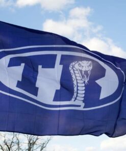 spirit flag, spirit flags, team flag, team flags, school flag, school flags, high school flag, high school flags, custom flag, custom flags