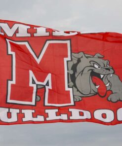 spirit flag, spirit flags, team flag, team flags, school flag, school flags, high school flag, high school flags, custom flag, custom flags