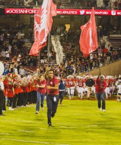 Team Banners and Flags, Field Runner, field runners, Cheer Flag, cheer flags, Cheerleader Flag, cheerleader flags, battle flag, battle flags, spirit flag, spirit flags, team flag, team flags, running flag, running flags, custom flag, custom flags