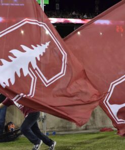 Team Banners and Flags, Field Runner, field runners, Cheer Flag, cheer flags, Cheerleader Flag, cheerleader flags, battle flag, battle flags, spirit flag, spirit flags, team flag, team flags, running flag, running flags, custom flag, custom flags