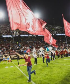 Team Banners and Flags, Field Runner, field runners, Cheer Flag, cheer flags, Cheerleader Flag, cheerleader flags, battle flag, battle flags, spirit flag, spirit flags, team flag, team flags, running flag, running flags, custom flag, custom flags