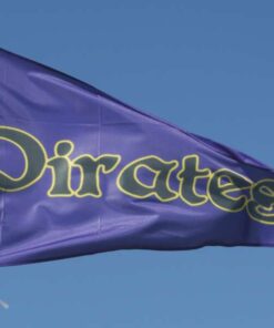 3'x5' Pennant Shaped Stadium Flags