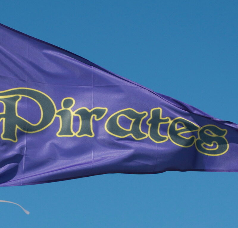 Stadium Flags