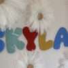 Acrylic Wall Letters